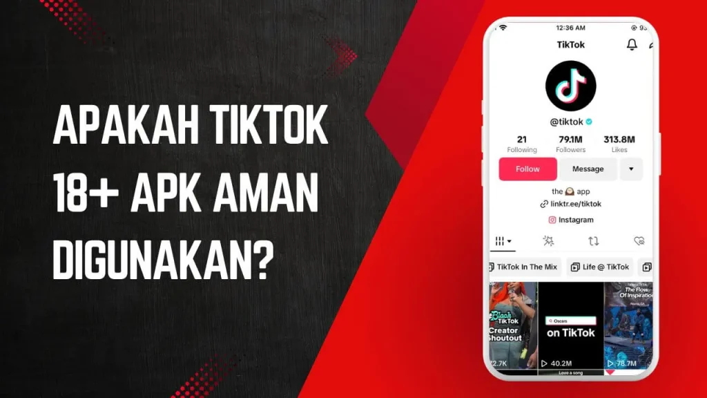 TikTok 18+ APK aman digunakan